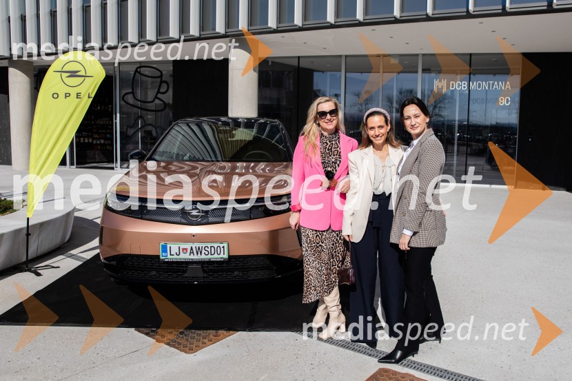  Klaudija Javornik, Združenje manager;  Ajda  Tratar, Združenje Manager;  ... Umetnost vodenja: pogledi uspešnih managerk