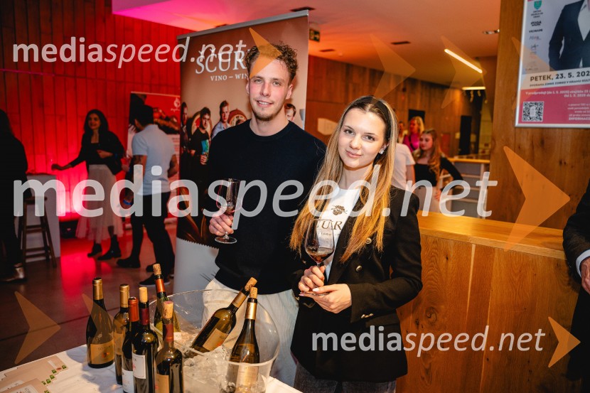 Vinske brbončice & Rock'n Roll