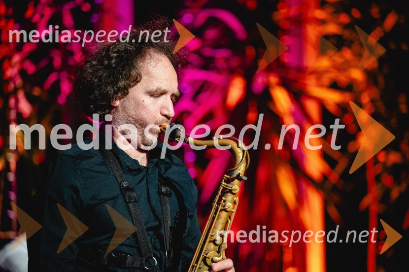 Vinske brbončice & Rock'n Roll