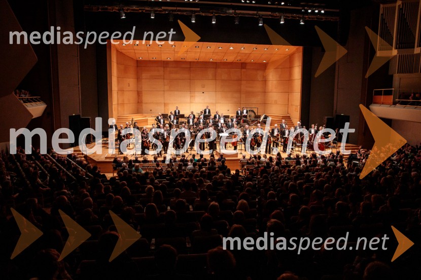 Nemški simfonični orkester iz Berlina v Cankarjevem domu