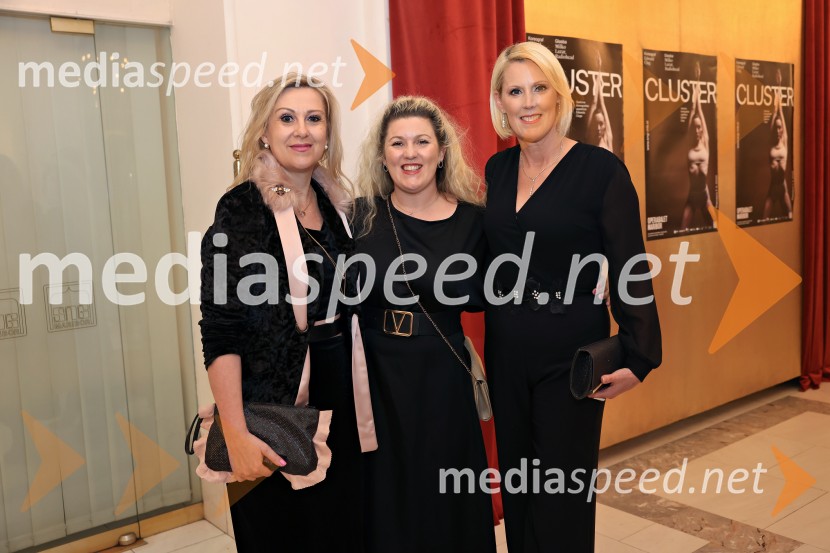  Klaudija Javornik, Združenje manager;  Maja  Mandoska,  Združenje Manager;  Petra Juvančič, izvršna direktorica, Združenje ManagerManagerski kulturni večer