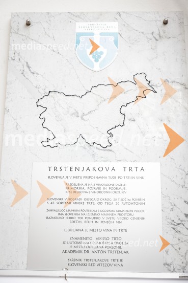 Rez vinske trte akademika dr. Antona Trstenjaka