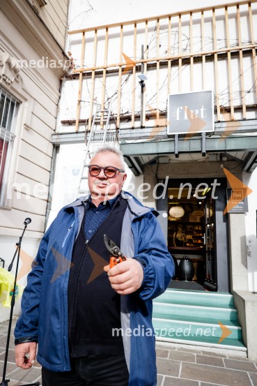 Rez vinske trte akademika dr. Antona Trstenjaka