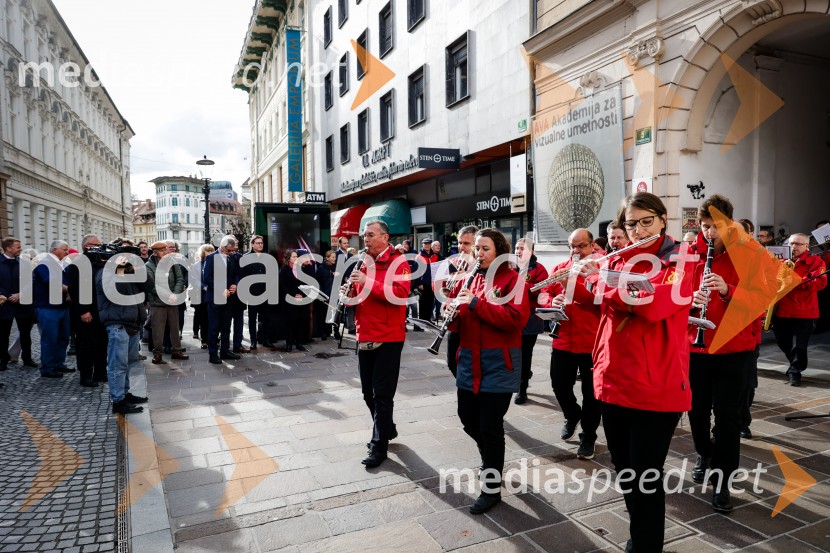 Rez vinske trte akademika dr. Antona Trstenjaka