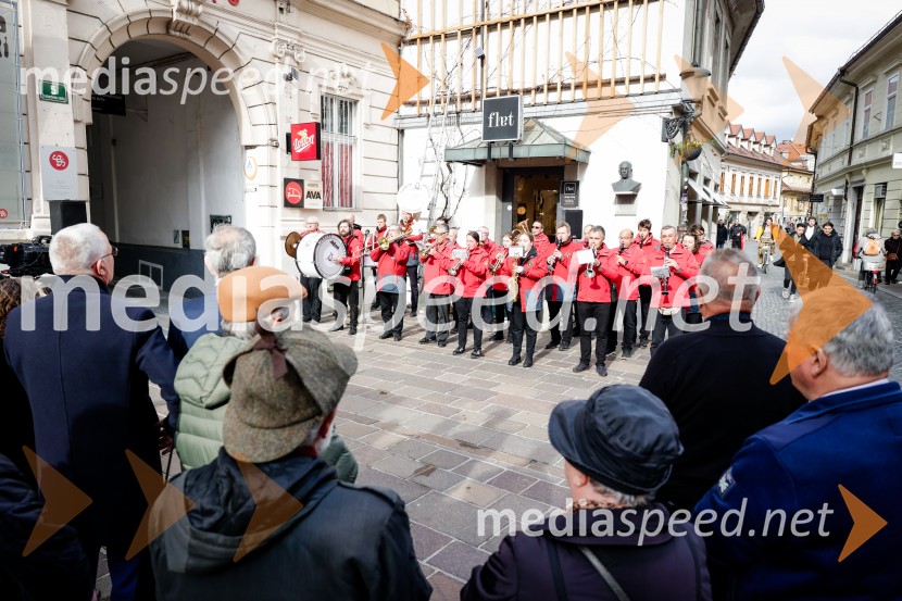 Rez vinske trte akademika dr. Antona Trstenjaka
