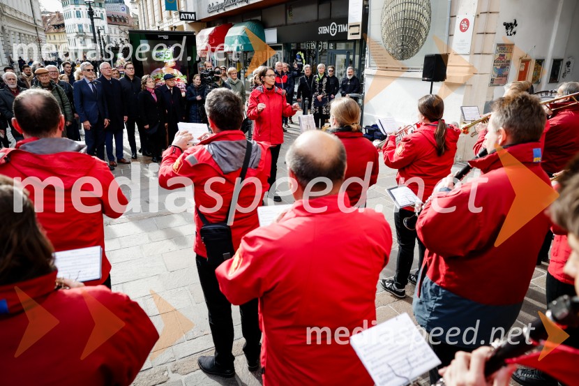 Rez vinske trte akademika dr. Antona Trstenjaka