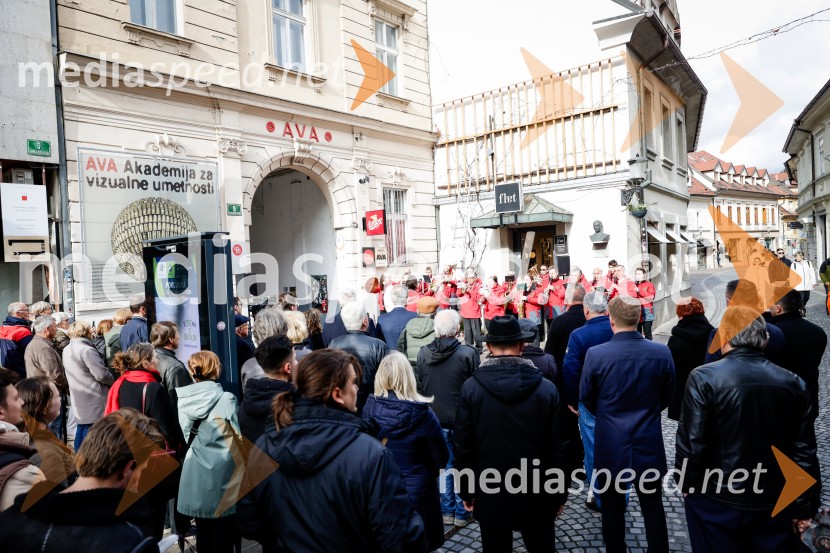 Rez vinske trte akademika dr. Antona Trstenjaka