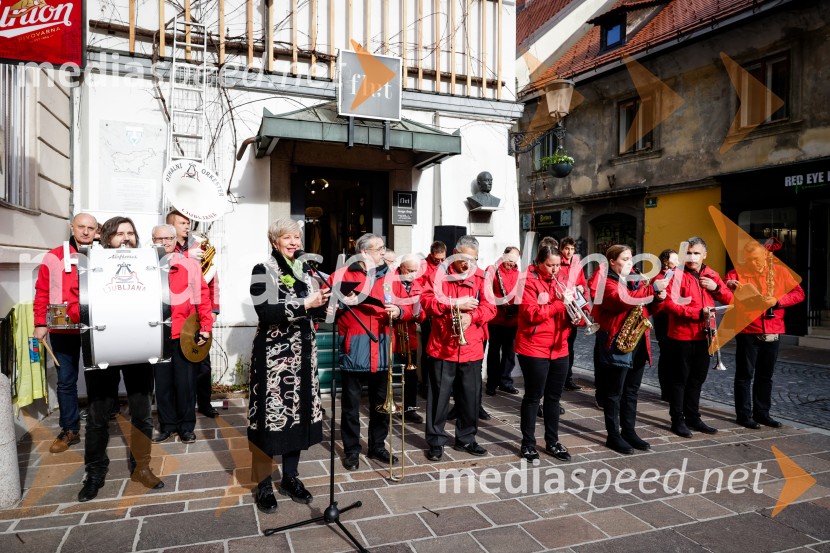 Rez vinske trte akademika dr. Antona Trstenjaka