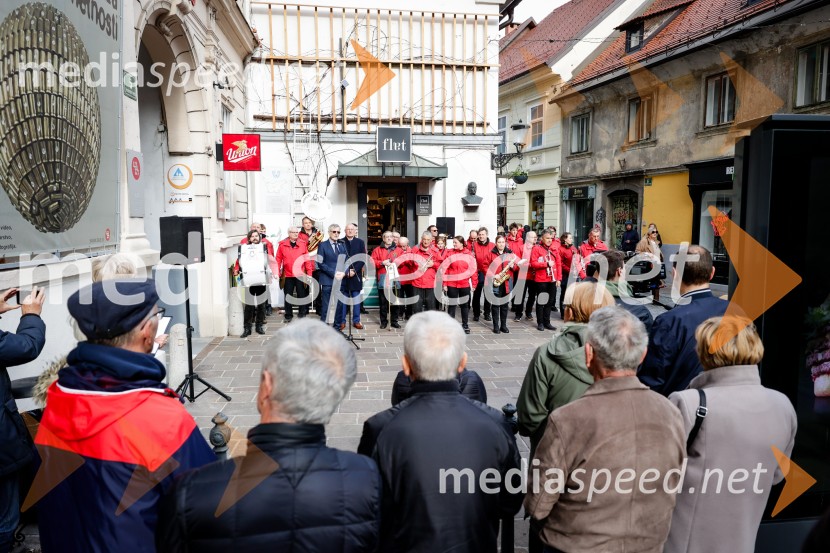 Rez vinske trte akademika dr. Antona Trstenjaka