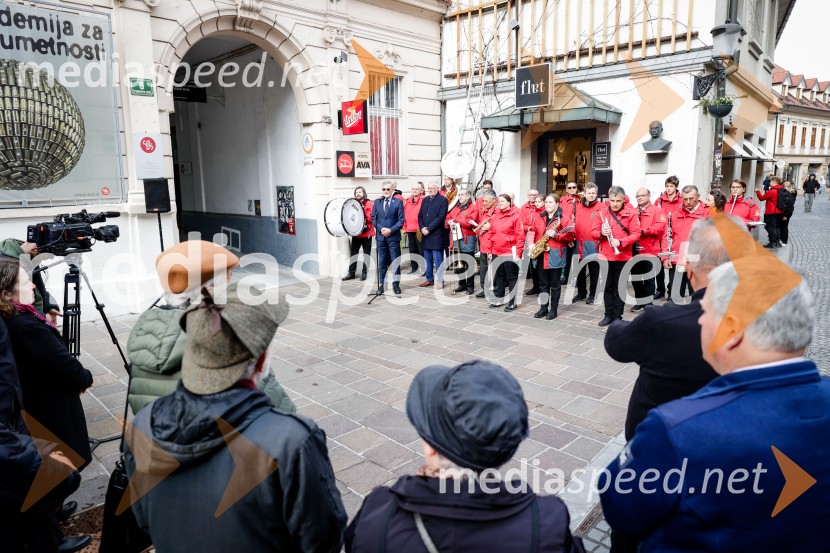 Rez vinske trte akademika dr. Antona Trstenjaka