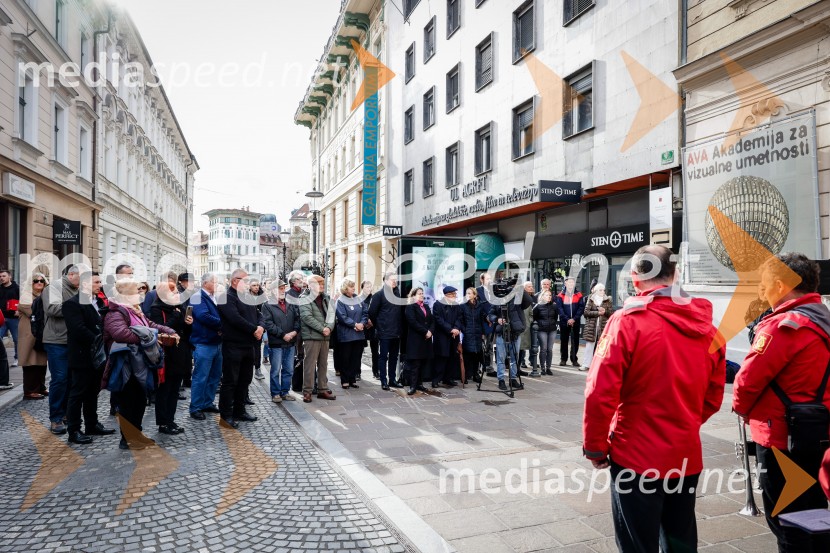 Rez vinske trte akademika dr. Antona Trstenjaka