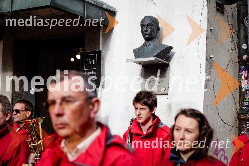 Rez vinske trte akademika dr. Antona Trstenjaka