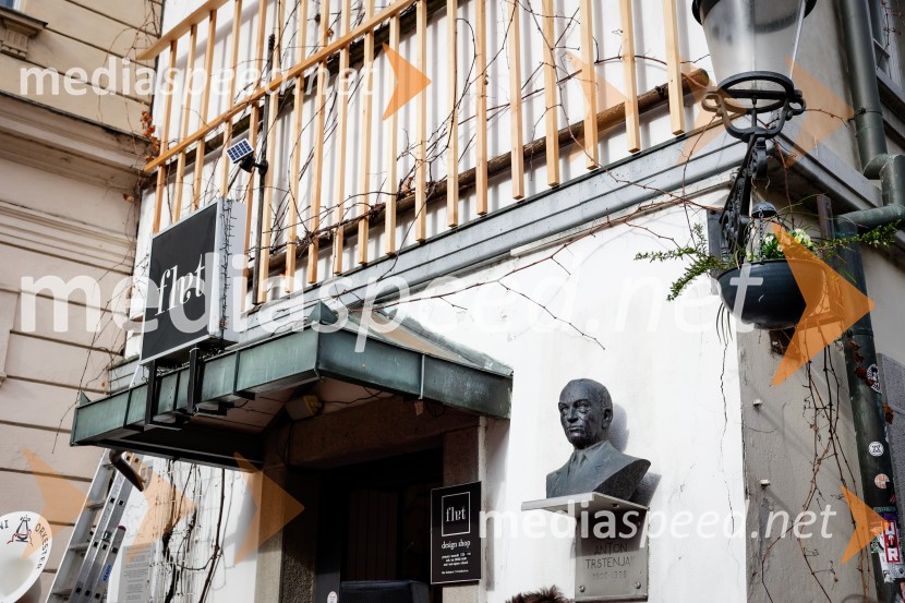 Rez vinske trte akademika dr. Antona Trstenjaka