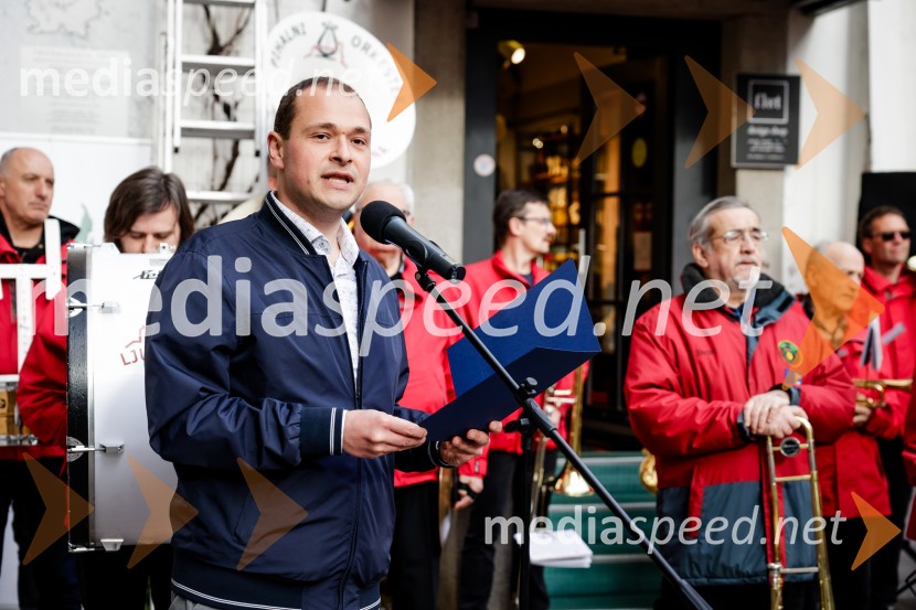 Rez vinske trte akademika dr. Antona Trstenjaka