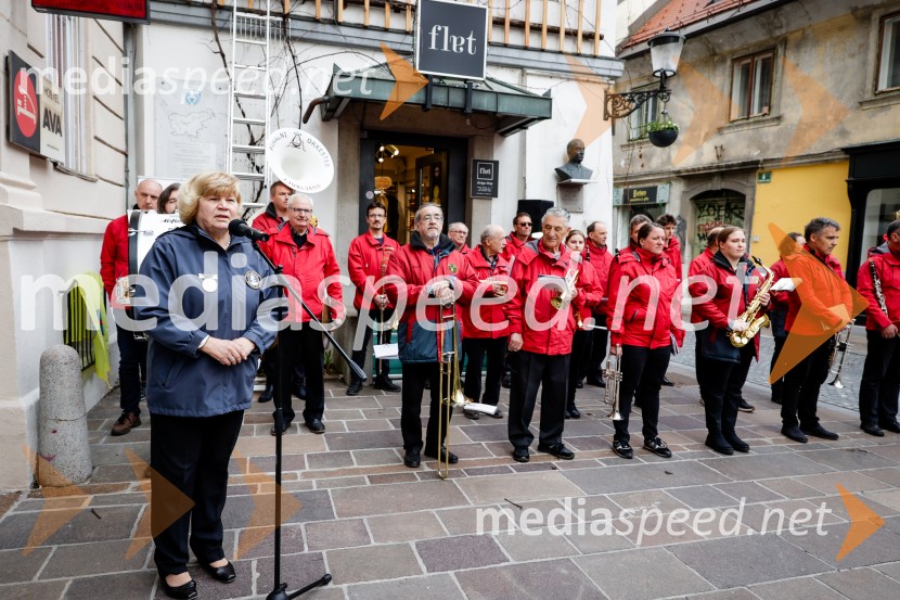 Rez vinske trte akademika dr. Antona Trstenjaka