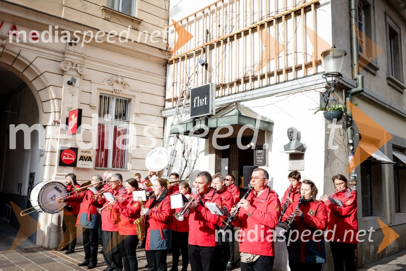 Rez vinske trte akademika dr. Antona Trstenjaka
