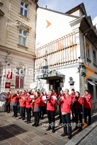 Rez vinske trte akademika dr. Antona Trstenjaka