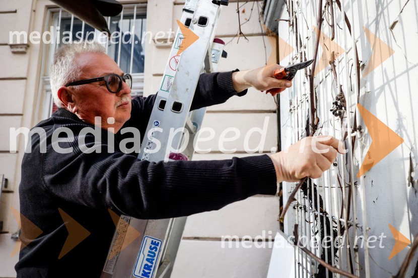  Silvo Sedlak, vinarRez vinske trte akademika dr. Antona Trstenjaka