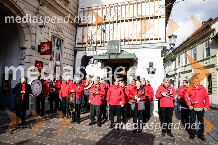 Rez vinske trte akademika dr. Antona Trstenjaka