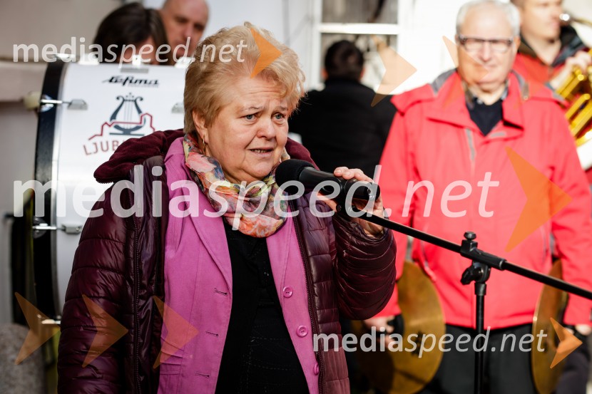 Rez vinske trte akademika dr. Antona Trstenjaka