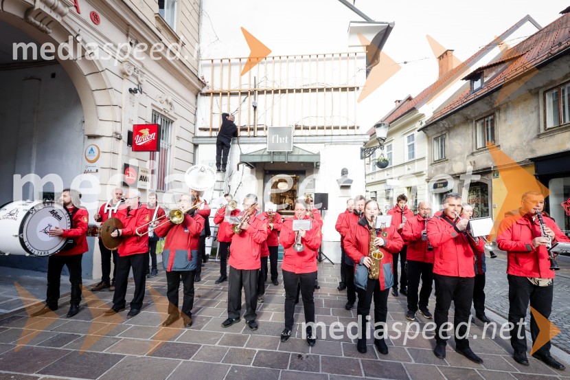 Rez vinske trte akademika dr. Antona Trstenjaka