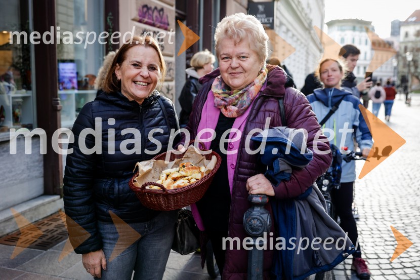 Rez vinske trte akademika dr. Antona Trstenjaka