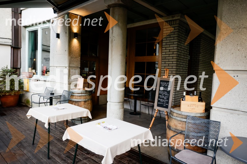 Rez vinske trte akademika dr. Antona Trstenjaka