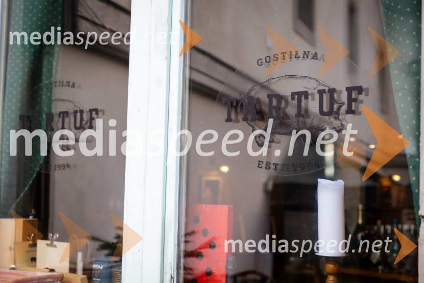 Rez vinske trte akademika dr. Antona Trstenjaka