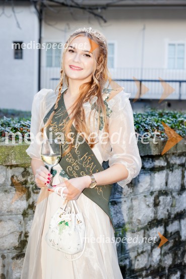 Rez vinske trte akademika dr. Antona Trstenjaka