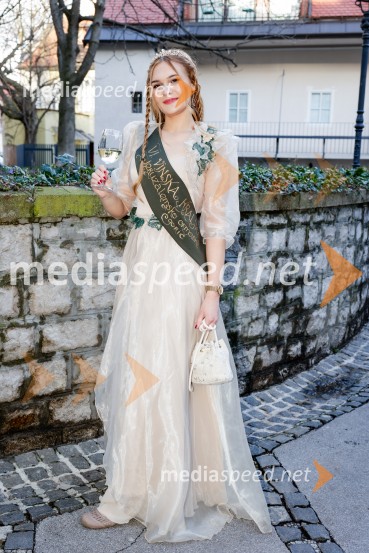 Rez vinske trte akademika dr. Antona Trstenjaka