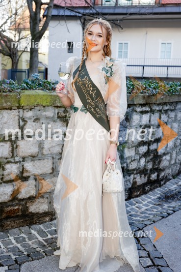 Rez vinske trte akademika dr. Antona Trstenjaka