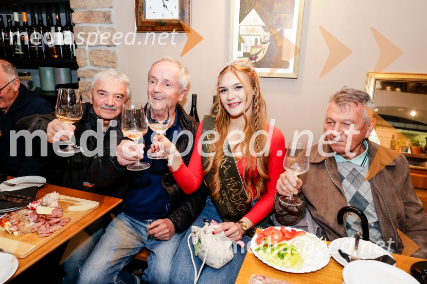 Rez vinske trte akademika dr. Antona Trstenjaka