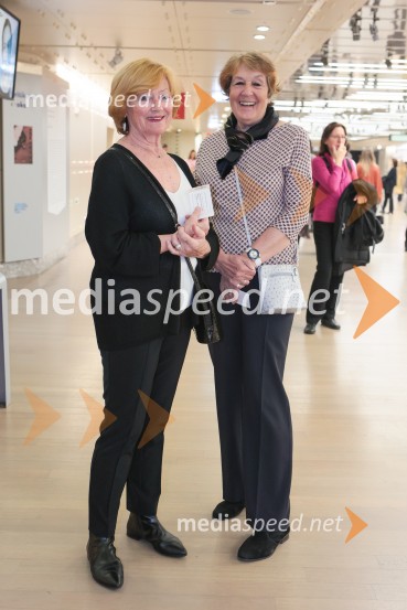 Baletna mojstrovina UKIYO-E na odru Cankarjevega doma