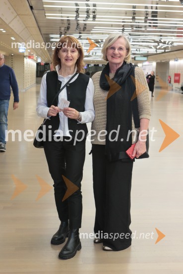 Baletna mojstrovina UKIYO-E na odru Cankarjevega doma