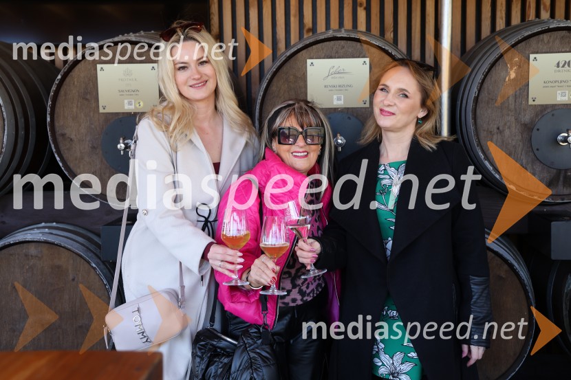  Danaja Simonič, vplivnica;  ... ;  Tamara Fortuna, blogerkaOdprtje sezone Fontane vin Vodole 2025