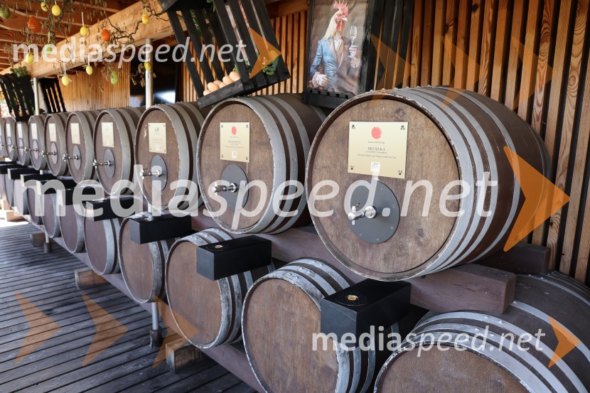 Odprtje sezone Fontane vin Vodole 2025