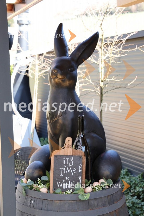 Odprtje sezone Fontane vin Vodole 2025