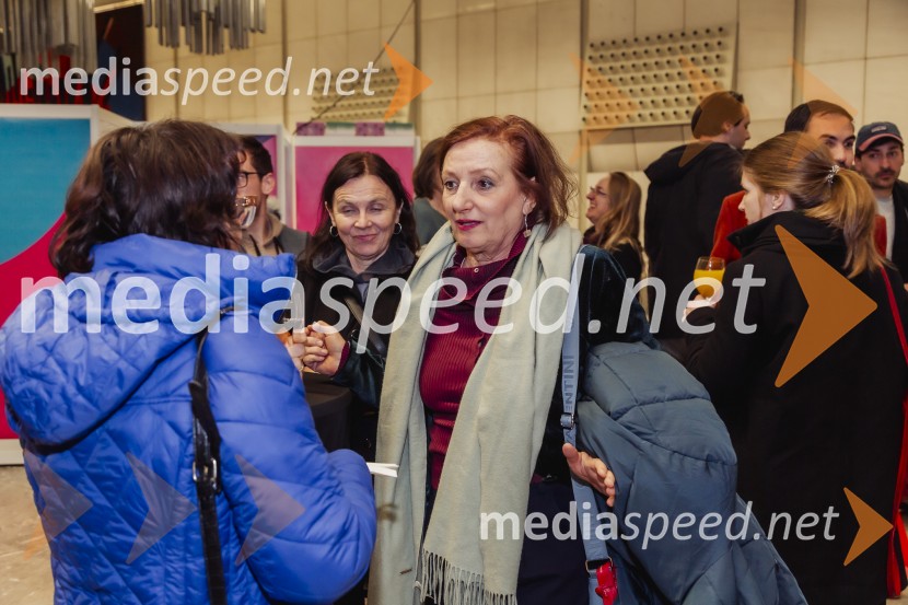 27. Festival dokumentarnega filma, zaključek