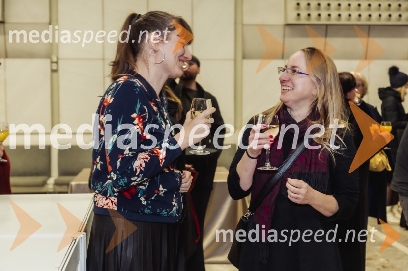 27. Festival dokumentarnega filma, zaključek