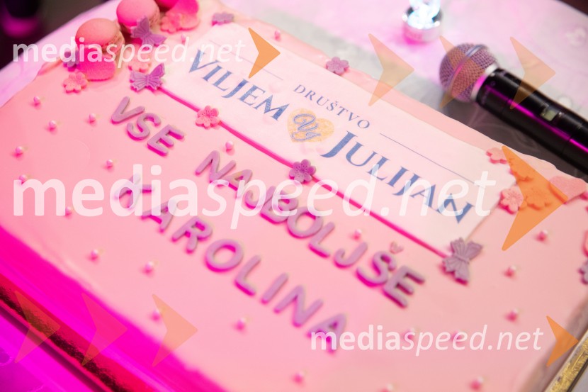 Veliki dobrodelni koncert za Karolino