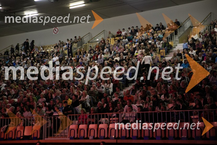 Veliki dobrodelni koncert za Karolino