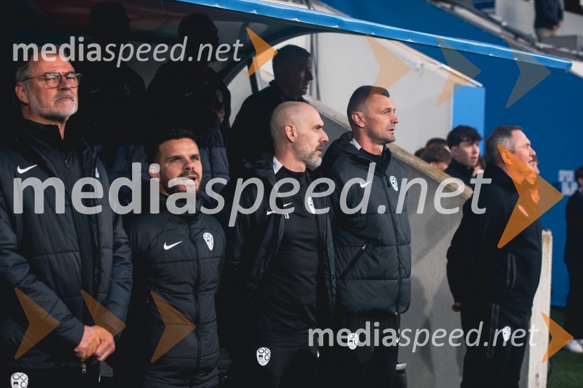 Slovenija - Slovaška, nogomet