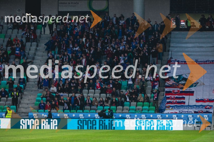 Slovenija - Slovaška, nogomet