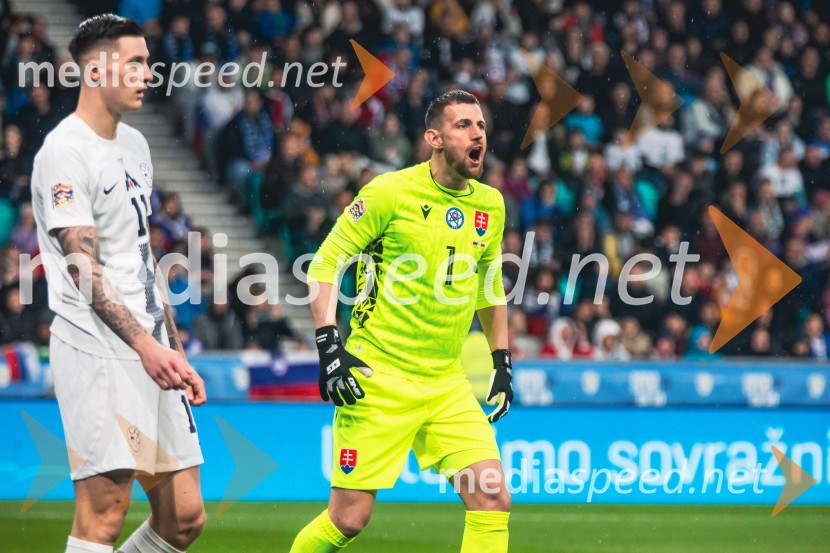 Slovenija - Slovaška, nogomet