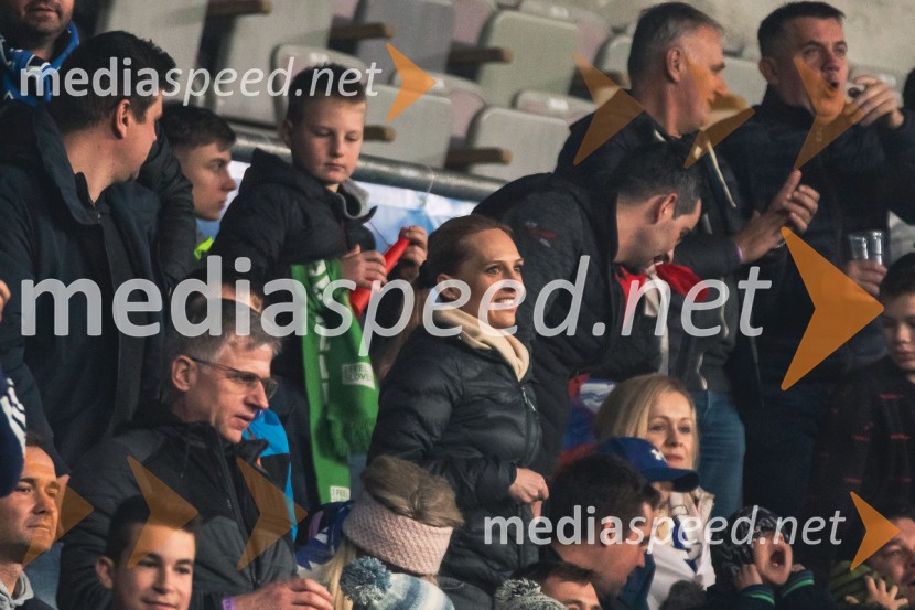 Slovenija - Slovaška, nogomet