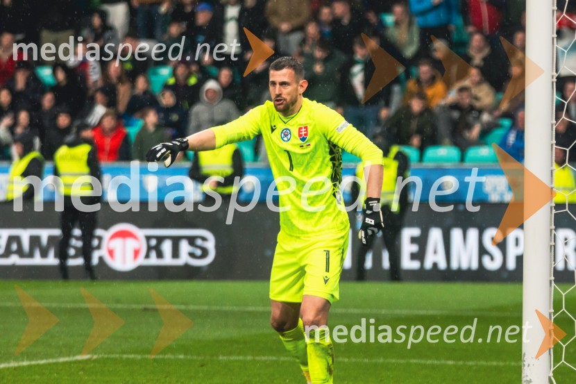 Slovenija - Slovaška, nogomet