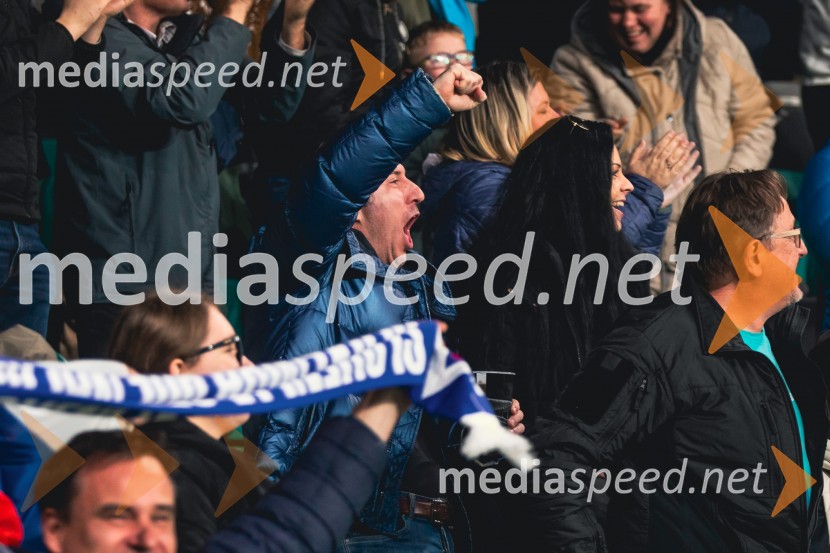 Slovenija - Slovaška, nogomet