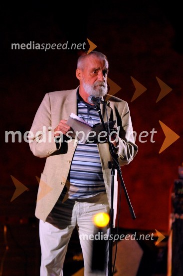 Jože Snoj, pesnik in dobitnik Veronikine nagrade 2009Podelitev Veronikinih nagrad