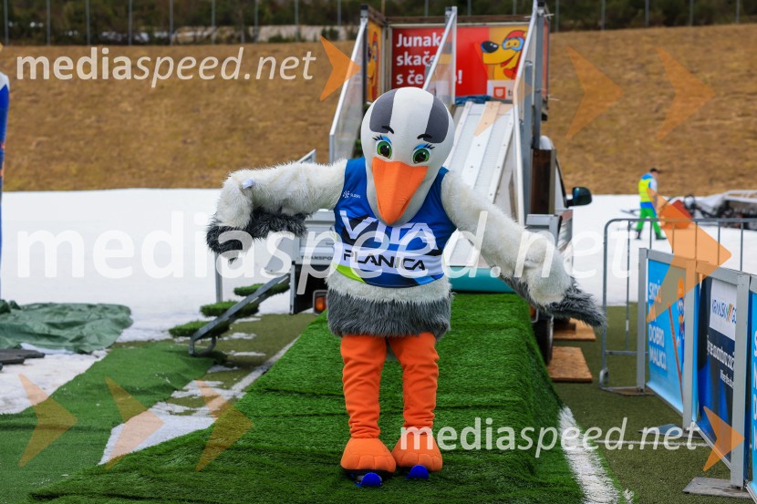 Domen Prevc do rekorda, Anže Lanišek do zmage, Planica 2025, nedelja