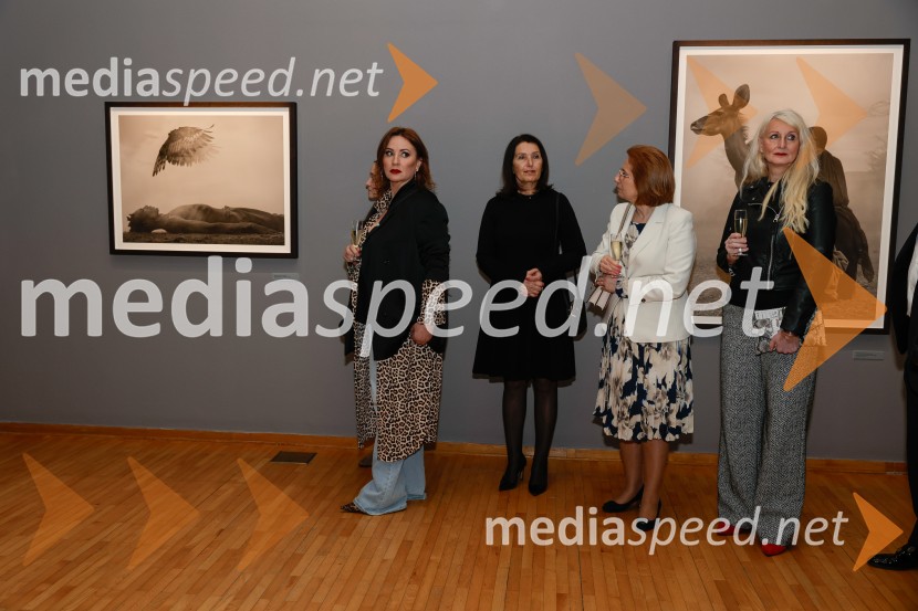  ... ;  ... ; mag. Anita Stojčevska, podpredsednica uprave in članica uprave, odgovorna za poslovanje z gospodarskimi družbami, OTP banka;  ... Otvoritev razstave Nicka Brandta, Napočil bo dan